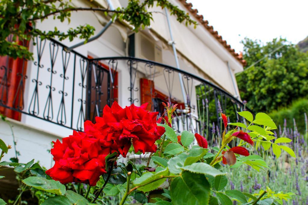 Guesthouse Lykourgos Mavrommátion Exterior photo